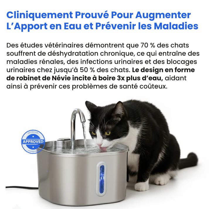 Protégez votre chat de la déshydratation et des urgences urinaires avec Névie.