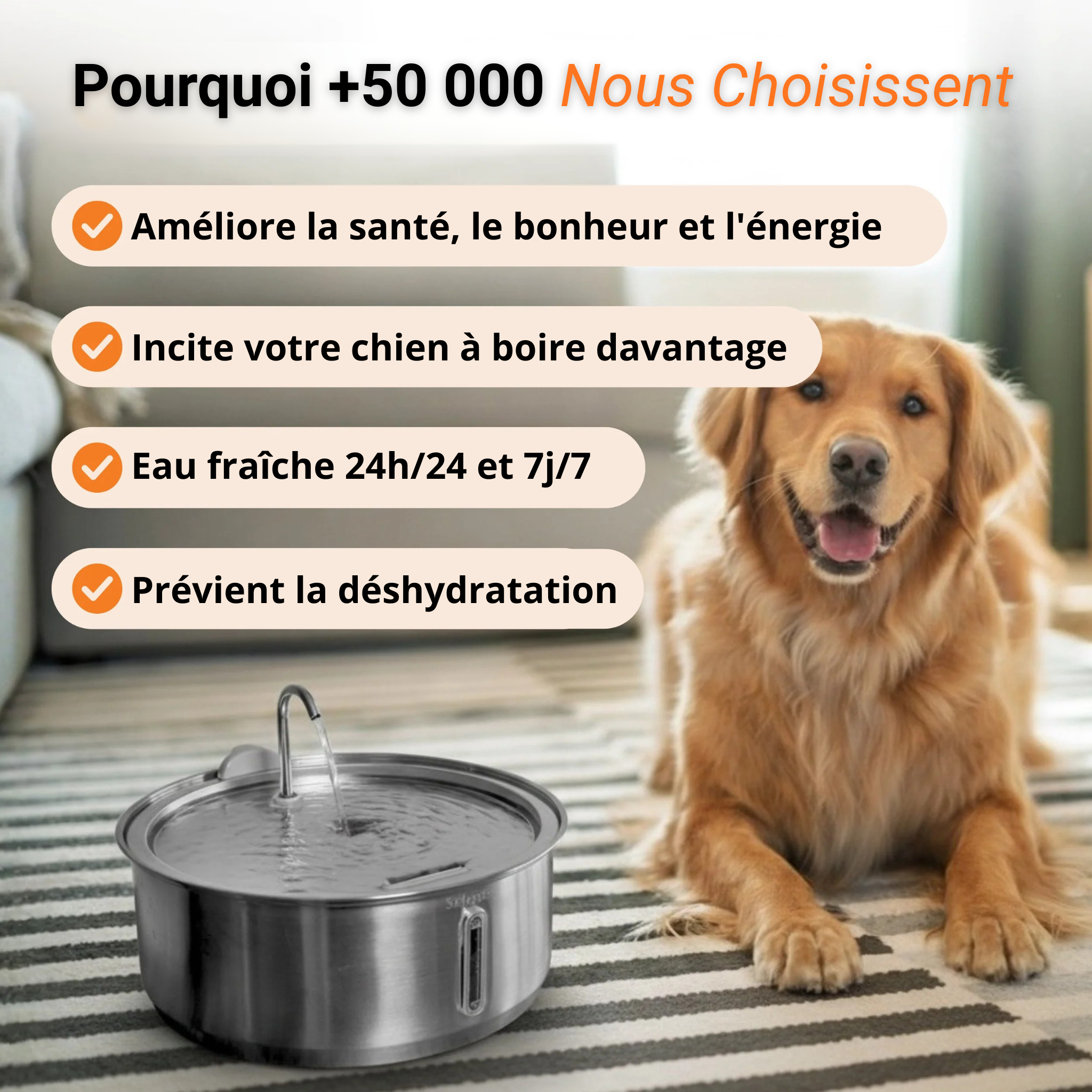 Fontaine Pour Chien Névie
