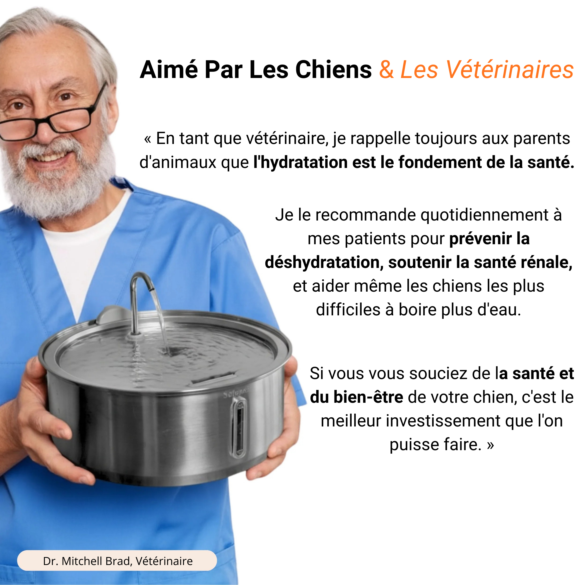 Fontaine Pour Chien Névie