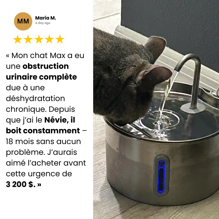 Protégez votre chat de la déshydratation et des urgences urinaires avec Névie.