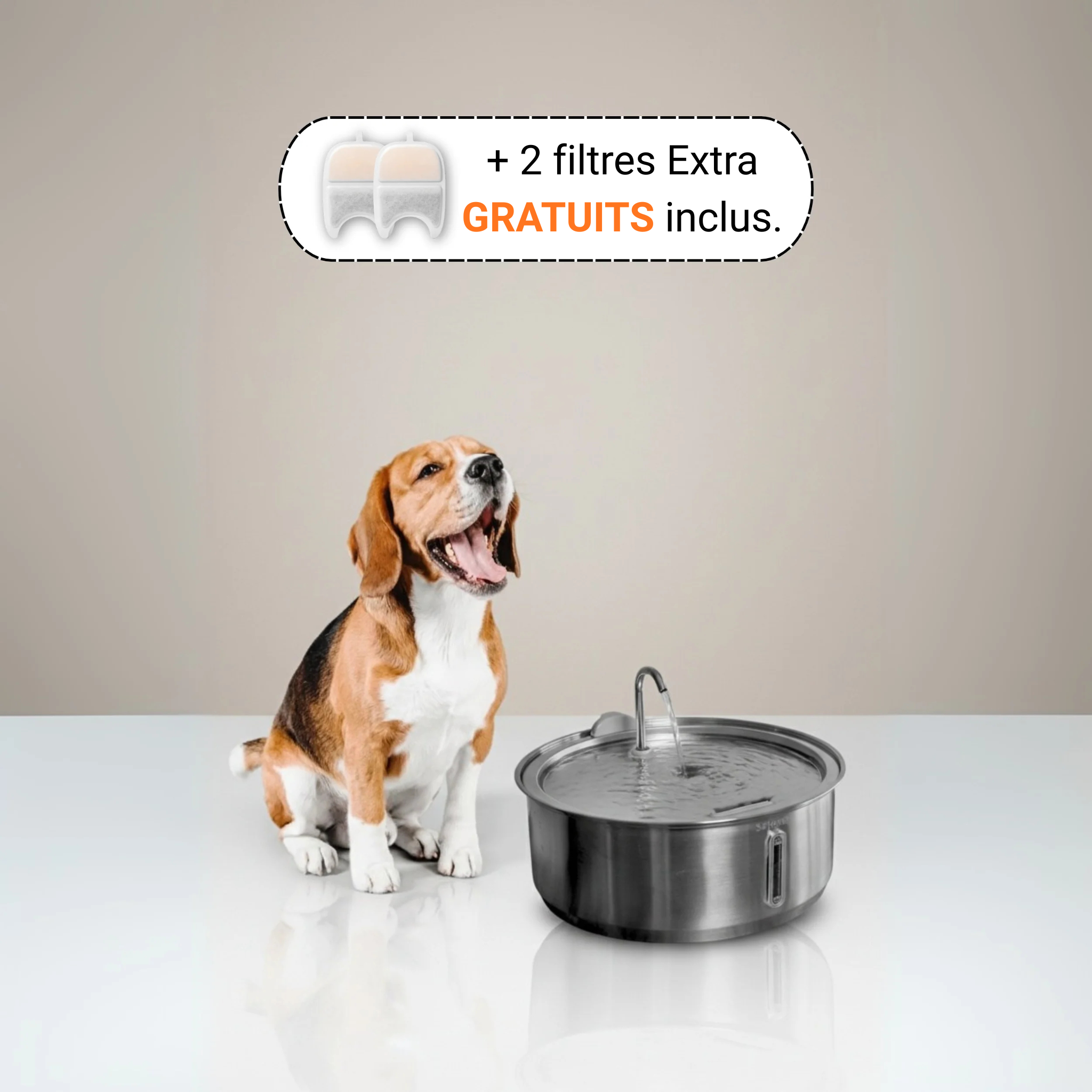 Fontaine Pour Chien Névie