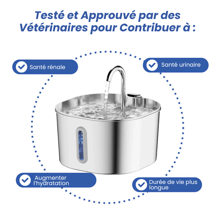 Protégez votre chat de la déshydratation et des urgences urinaires avec Névie.