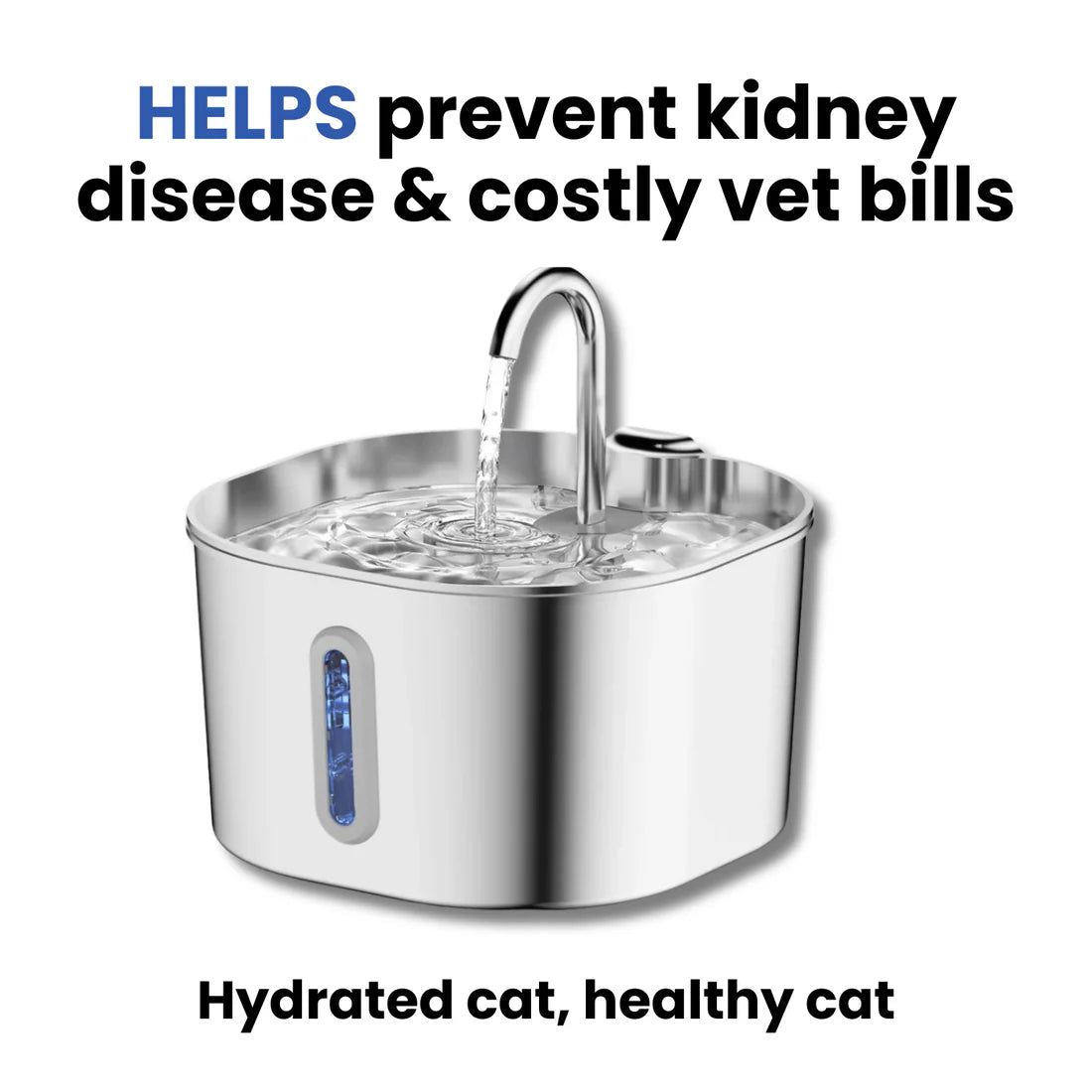 Protect your cat from UTIs, Stones, and Kidney Disease with Purrify