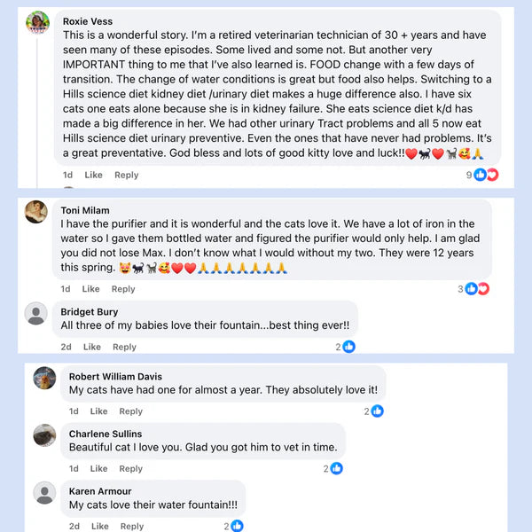 Protect your cat from UTIs, Stones, and Kidney Disease with Purrify