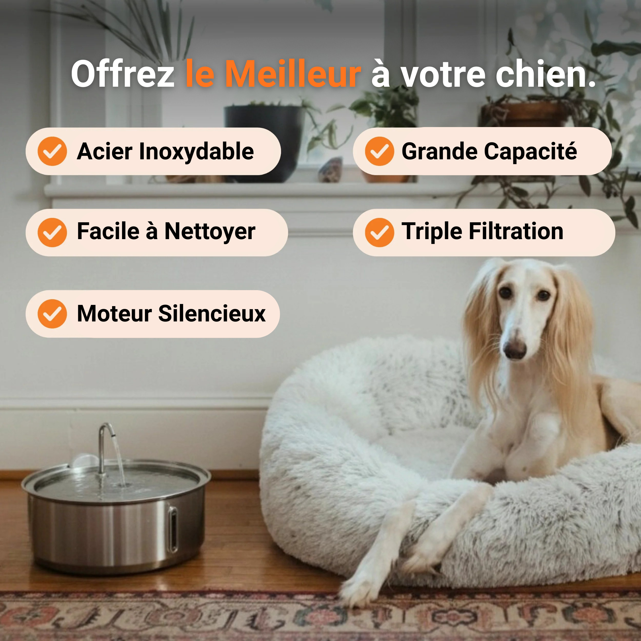 Fontaine Pour Chien Névie